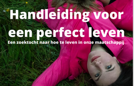 Handleiding voor een perfect leven